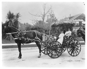 Horse-drawn float in the Pasadena Tournament of Roses Parade, ca.1906