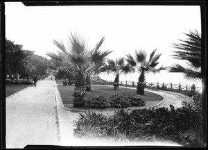 Dirt promenade along the top of the cliffs in Santa Monica's Palisades Park, 1910-1920