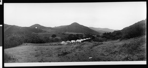 Line of tents at a military camp for young boys in the East Whittier hills, ca.1914