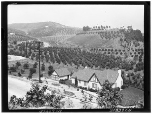 Birdseye view of a farmhouse on the edge of an orchard