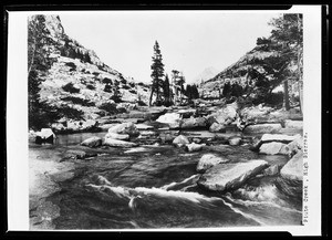 Piute Creek with lines of trees seen on both sides, High Sierras