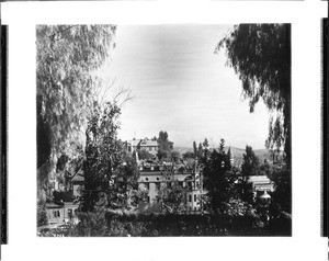 View of Los Angeles looking north on Broadway through the treetops, 1895