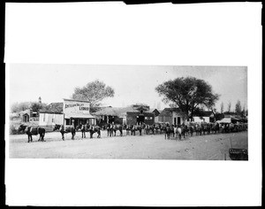 Two twenty-mule teams on Lancaster's Main Street, later Sierra Highway, ca.1900-1909