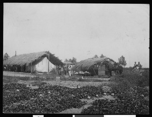 Miller residence near Brawley, ca.1910