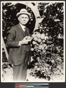 Man poses with oranges, ca.1930