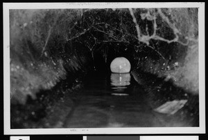 Sewer interior view showing growth caused by infrequent flushing