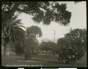 Oakland's Madison Square, ca.1910