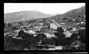 View of Tujunga with the San Gabriel Mountains in the background