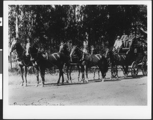 Captain Banning driving stage at Wilmington home, ca.1910