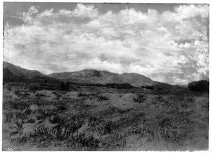 Cemetery in Temecula where Ramona waited while Alessandro went to the Wolfe Store to sell his violin, ca.1901