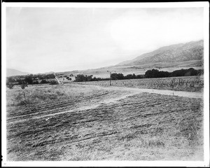Panorama of Flintridge City looking west, 1905