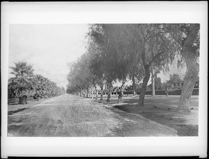 Magnolia Avenue, Riverside, California, ca.1890