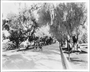 Two children riding donkeys in the middle of Marengo Avenue in Pasadena, ca.1905