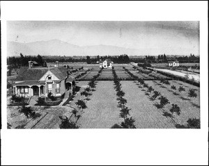 Birdseye view of Alhambra, showing homesteads and orchards, ca.1883