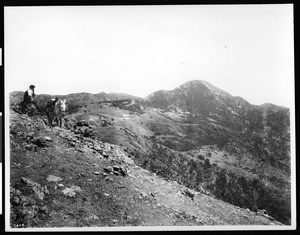 "Black Jack" and his mule on Catalina Island