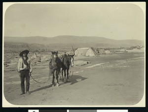 Yakima Indian leading two horses