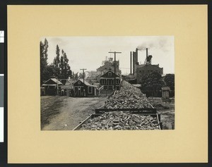 Sugar beets on route to a sugar factory in Chino, ca.1900