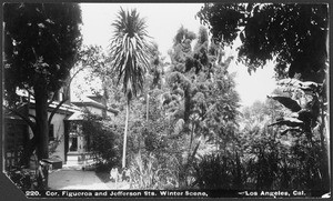 Trees and greenery in front of a home on the corner of Figueroa Street and Jefferson Street during winter, ca.1885