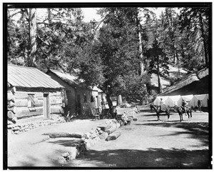 View of A.G. Strain's camp at Mount Wilson, ca.1898