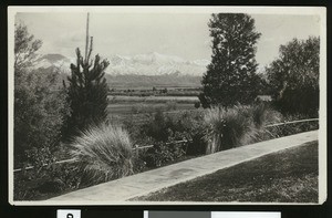 Scenery in Redlands, showing a walkway in the foreground, ca.1900