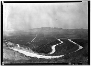 Hill view of citrus and avocado groves in Hacienda Heights, California, ca.1930