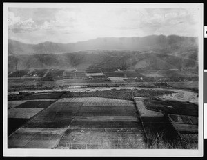 Farmland and the Los Angeles River looking north from Elysian Park toward Mount Washington, 1895-1915