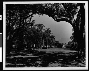 Henry E. Huntington Library and Art Gallery Sculpture Garden, ca.1930