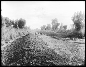 Men and horses work on the levee on the south bank of the Canal near the Colorado River, ca.1903