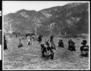 Group of sixteen people gathering poppies in a field in Altadena near Echo Mountain, ca.1904