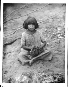 Portrait of a young Havasupai girl making a basket, ca.1900