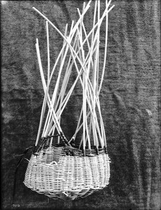 Unidentified Indian basket on display, ca.1900