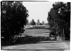 View of a golf course in Los Angeles, showing trees and a bridge in the foreground