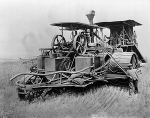 A combine steam harvester and its crew in the fields, ca.1900