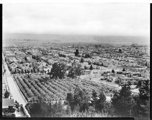 Panoramic view of Hollywood, looking southwest the Wattles Estate across Gardner Street, 1924