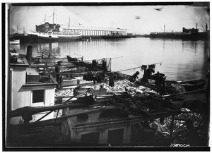 Docked boats filled with fish