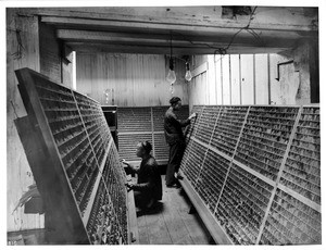 Composition room in Chinese newspaper printing office