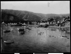 View of Avalon Harbor from Sugar Loaf, showing the Hotel Metropole in the background, ca.1910