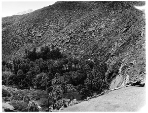 View of Palm Canyon, December 1926