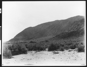 Sea line of the Salton Sea in the desert, ca.1930