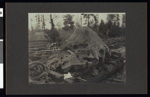 A close-up view of a meteorite discovered in Oregon City, Oregon