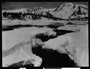 Cottonwood Creek surrounded by snow, ca.1930