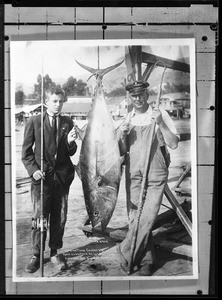 Portrait of Ross Kirkpatrick with a leaping tuna he caught of Santa Catalina Island, August 25, 1909