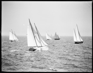 Five double-masted yachts on the ocean at Los Angeles Harbor