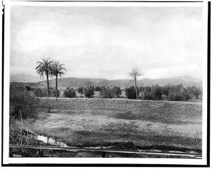 Adobe wall surrounding an olive orchard north of the Mission San Fernando, ca.1890