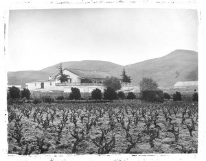 Santa Marguerita Ranch - Vineyard and Winery, 1886