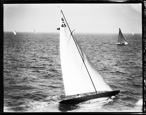 View of a sailboat amongst four other sailboats in the ocean in Long Beach