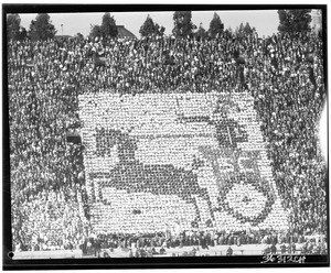 Stadium-goers making a picture of a "Trojan horse" using posterboards