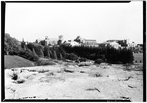 View of buildings at UCLA from behind a thicket, ca.1935