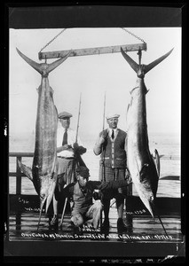 Three men posing with two swordfish at Catalina Island, 1924