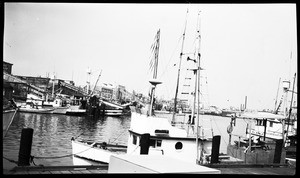 View of Fish Harbor, showing the Star-Kist Tuna Company in the background, San Pedro, 1954